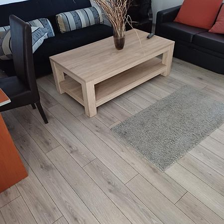 Apartament Cu Terasa La Casa Tina Тімішоара Екстер'єр фото