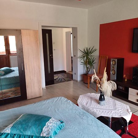 Apartament Cu Terasa La Casa Tina Тімішоара Екстер'єр фото