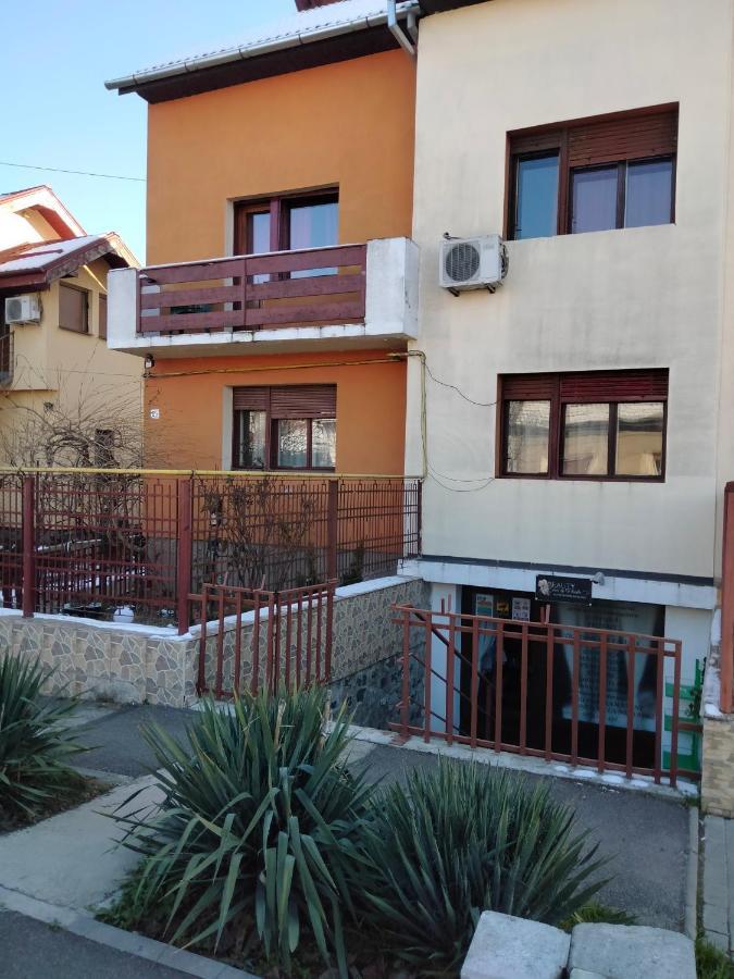 Apartament Cu Terasa La Casa Tina Тімішоара Екстер'єр фото