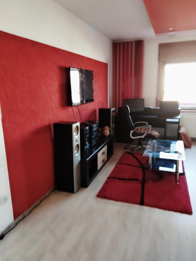 Apartament Cu Terasa La Casa Tina Тімішоара Екстер'єр фото