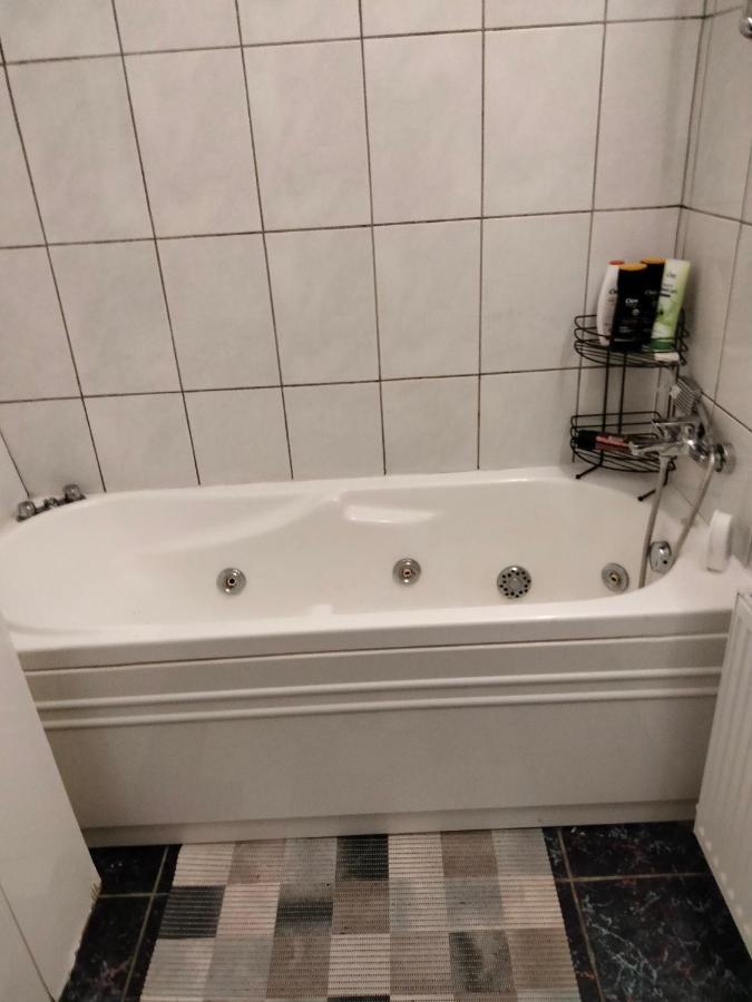 Apartament Cu Terasa La Casa Tina Тімішоара Екстер'єр фото