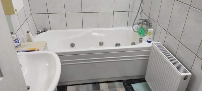 Apartament Cu Terasa La Casa Tina Тімішоара Екстер'єр фото