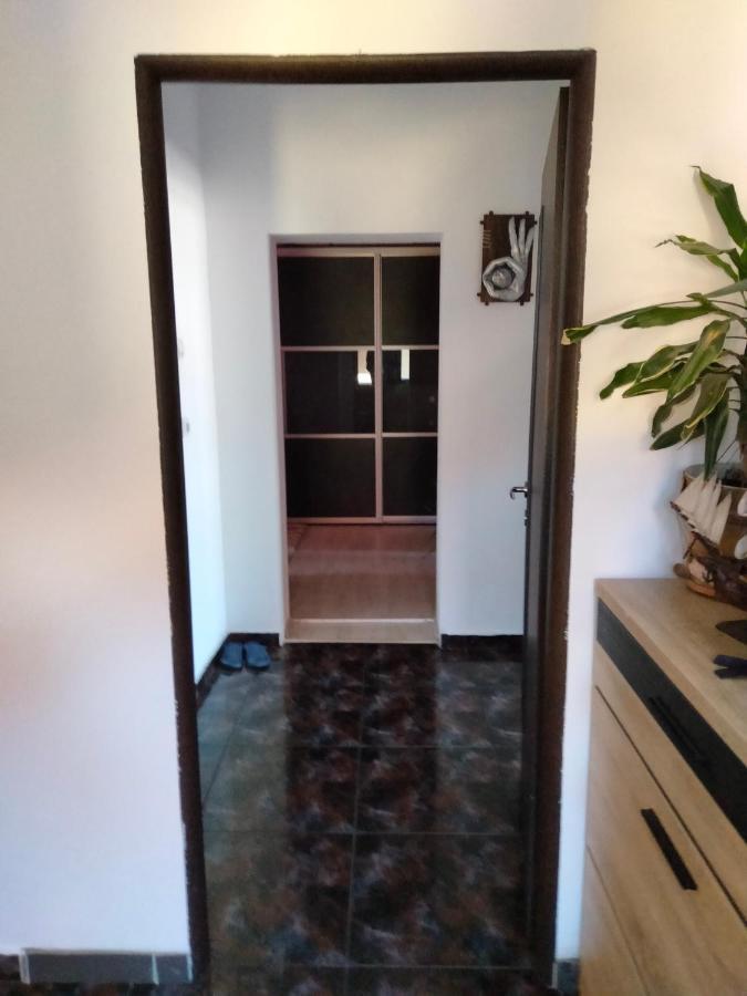 Apartament Cu Terasa La Casa Tina Тімішоара Екстер'єр фото