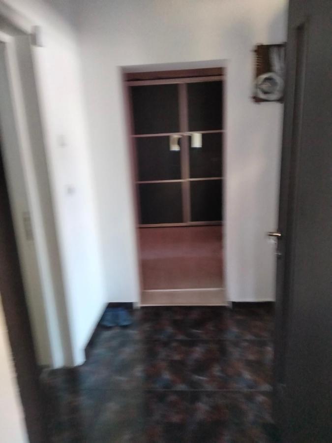 Apartament Cu Terasa La Casa Tina Тімішоара Екстер'єр фото