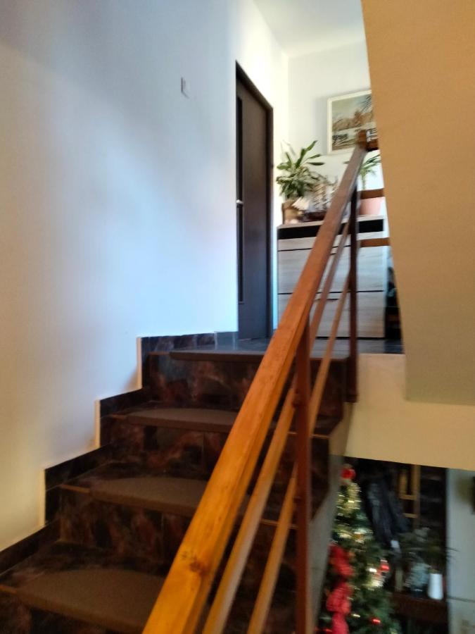 Apartament Cu Terasa La Casa Tina Тімішоара Екстер'єр фото
