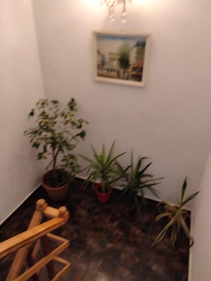 Apartament Cu Terasa La Casa Tina Тімішоара Екстер'єр фото