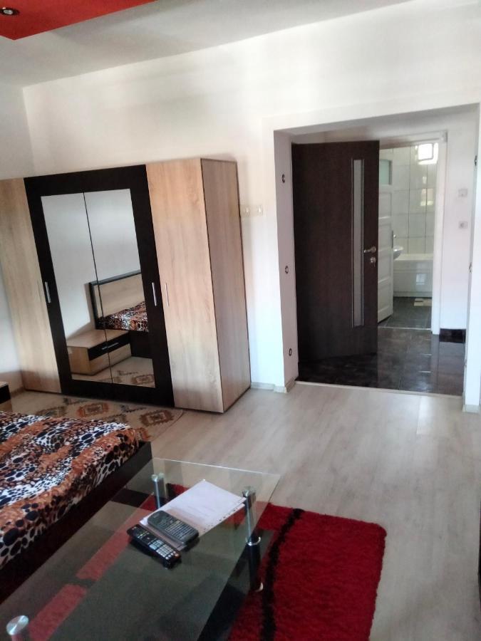 Apartament Cu Terasa La Casa Tina Тімішоара Екстер'єр фото