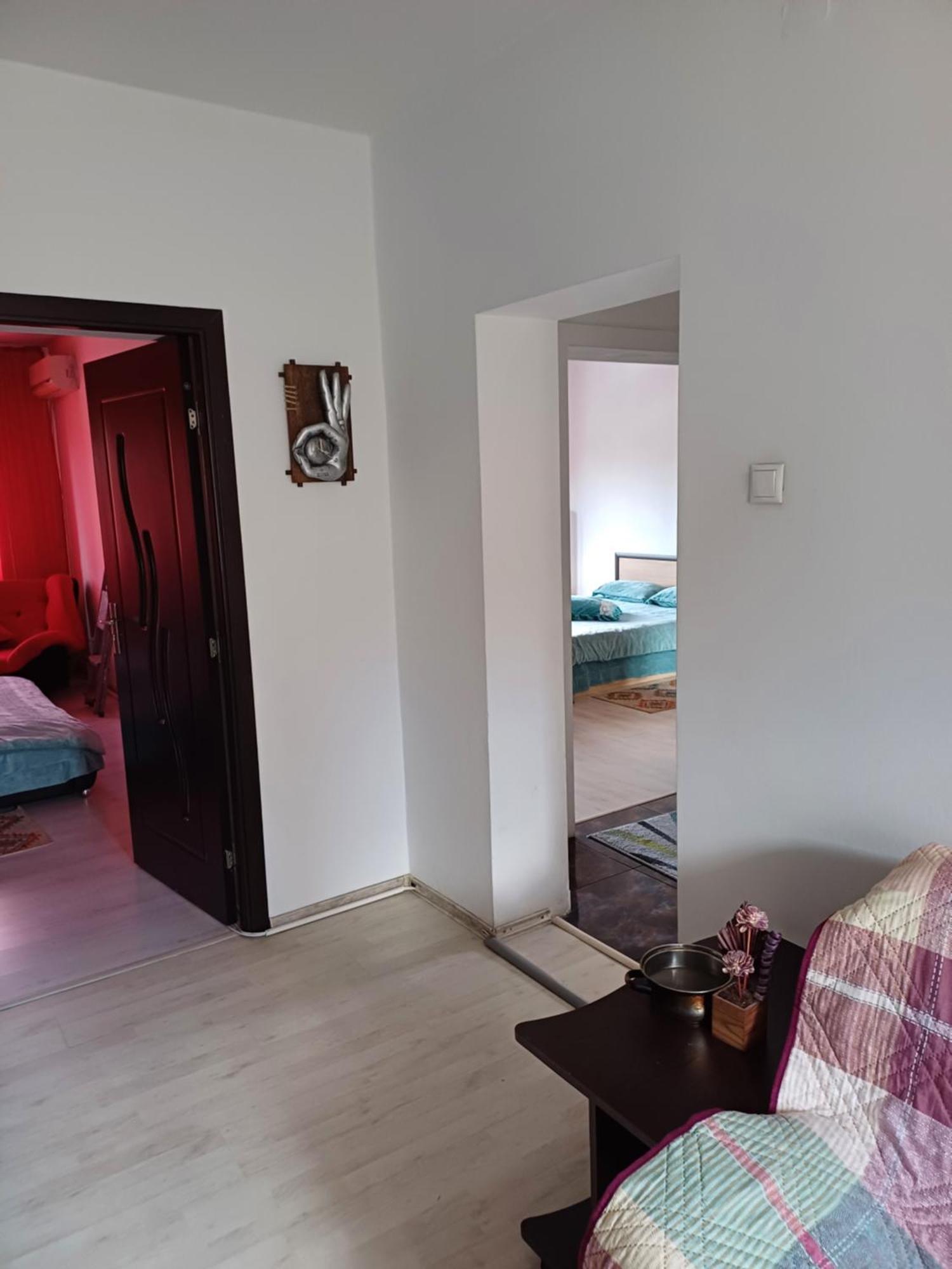Apartament Cu Terasa La Casa Tina Тімішоара Екстер'єр фото