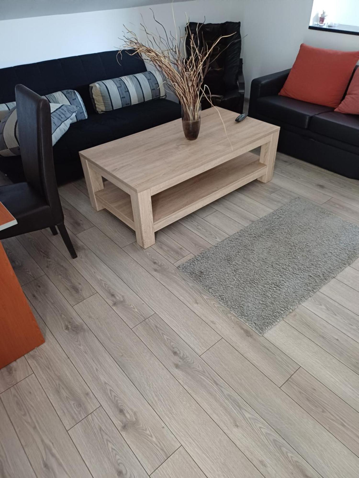 Apartament Cu Terasa La Casa Tina Тімішоара Екстер'єр фото